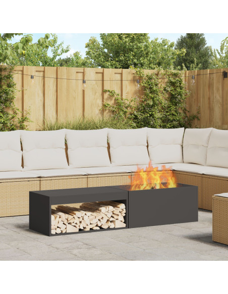 Braciere con Stoccaggio per Legna Nero 160x45x35 cm Acciaio