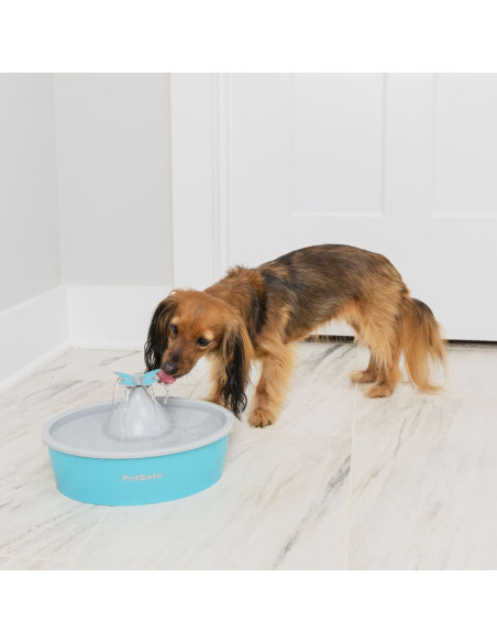 PetSafe Fontana per Animali Domestici Drinkwell con Farfalla 1,5 L