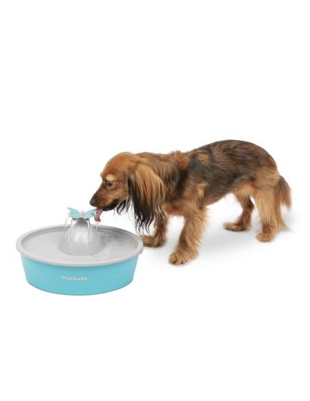 PetSafe Fontana per Animali Domestici Drinkwell con Farfalla 1,5 L