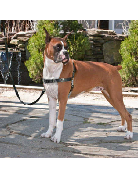 PetSafe Pettorina per Cani Easy Walk Misura L Nera