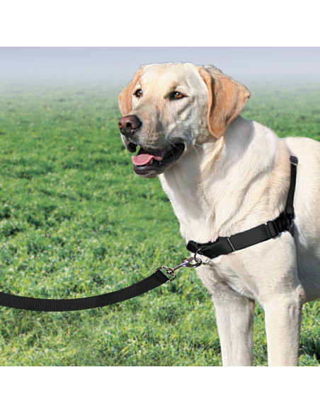 PetSafe Pettorina per Cani Easy Walk Misura L Nera