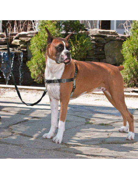 PetSafe Pettorina per Cani Easy Walk Misura M Nera