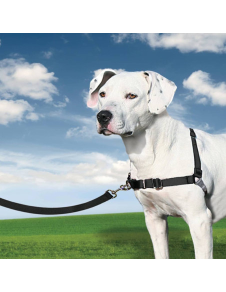 PetSafe Pettorina per Cani Easy Walk Misura M Nera