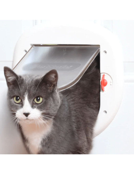 PetSafe Porta Basculante per Animali a 4 Modalità 280 Bianca