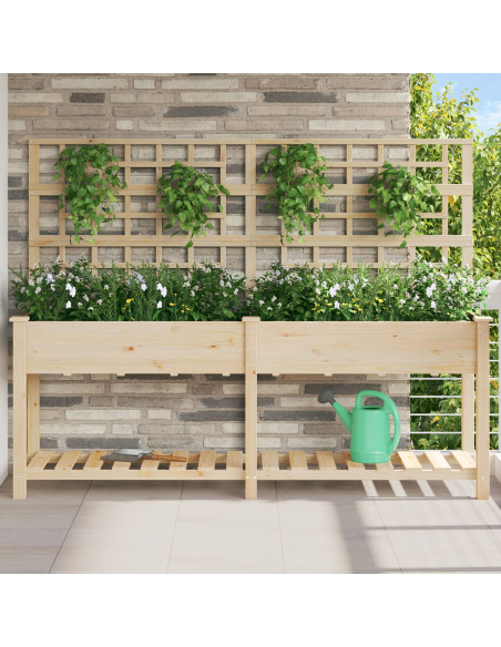 Pianter a Giardino con Trellis e Ripiano 203x53x152 cm in Legno Massello di Pino