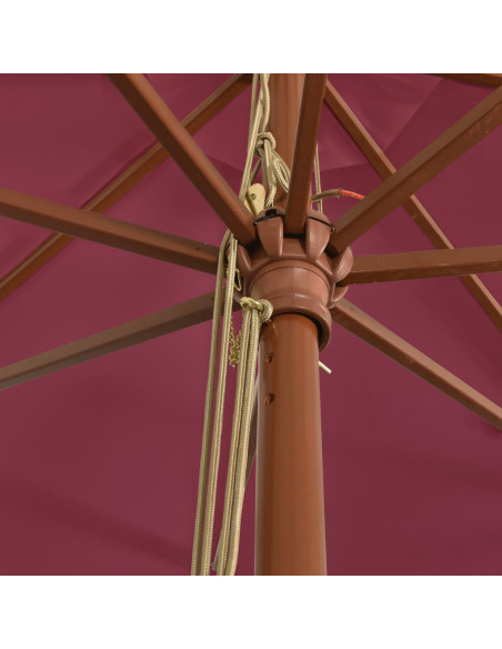Ombrellone da Giardino con Palo Legno Rosso Bordeaux 400x273 cm