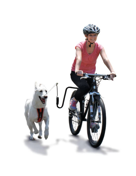 SPRINGER Kit Ginnico per Bicicletta per Cani