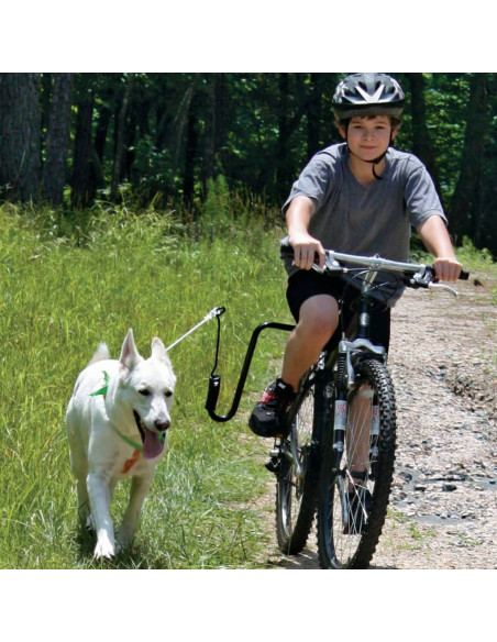 SPRINGER Kit Ginnico per Bicicletta per Cani