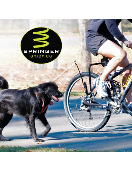 SPRINGER Kit Ginnico per Bicicletta per Cani