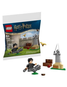 LEZIONE DI QUIDDITCH