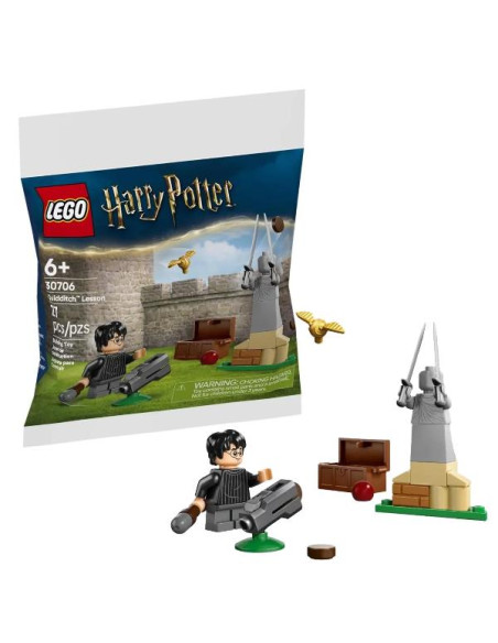 LEZIONE DI QUIDDITCH