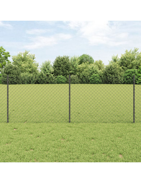 Recinzione in Rete Metallica  con 10 Post U Grigio 0.8x10 m in Acciaio