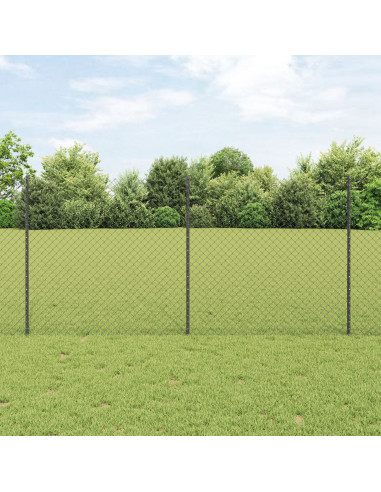 Recinzione con Posto Grigio 1,2 x 10 m Acciaio e PVC