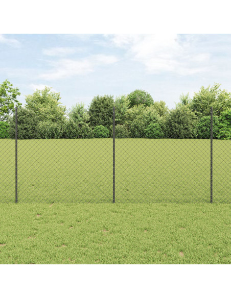 Recinzione con Posto Grigio 1,2 x 10 m Acciaio e PVC