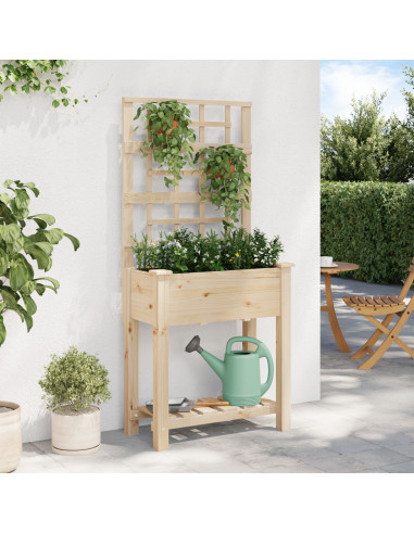 Fioriera da Giardino con Trellis e Ripiano 71x37x152 cm in Legno Massello di Abete