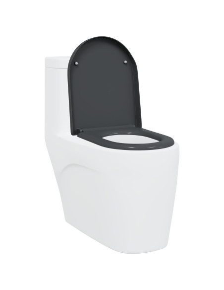 Toilette a rilascio rapido con chiusura morbida in Duroplast Antracite