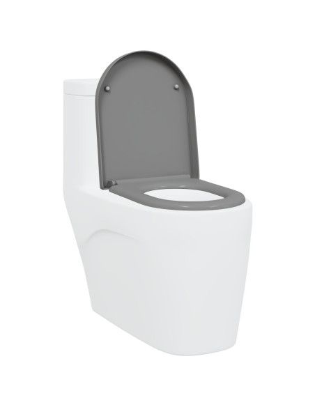 Sgabello per WC con rilascio rapido e chiusura morbida Duroplast Grigio
