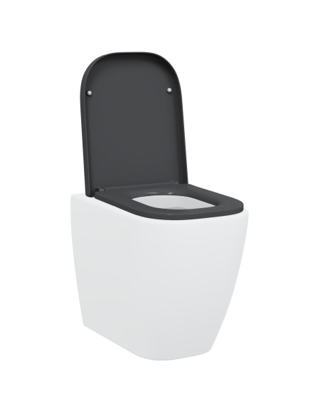 Sedile del WC a rilascio rapido con chiusura morbida in Duroplast Antracite