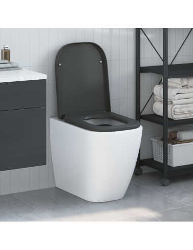 Sedile del WC Antracite 47,5 x 35 x 3,6 cm Duroplast