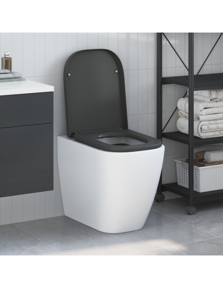 Sedile del WC a rilascio rapido con chiusura morbida in Duroplast Antracite