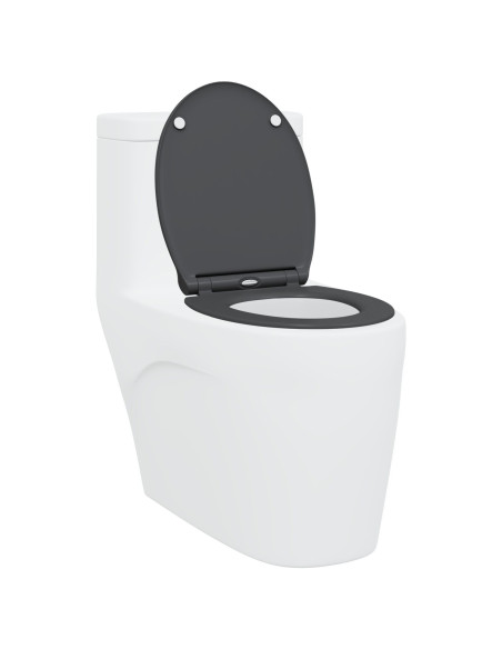 Toilette a rilascio rapido  con chiusura morbida in Duroplast Antracite