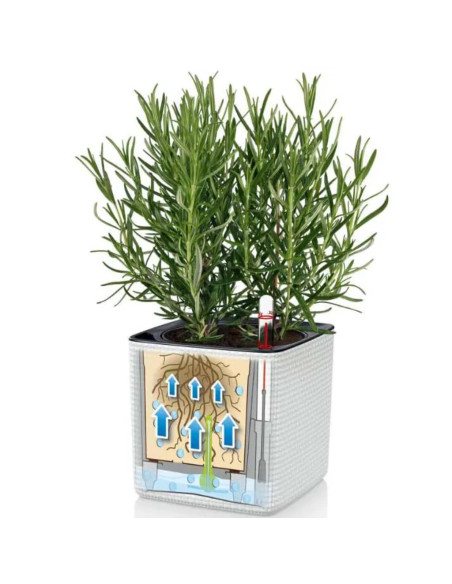 LECHUZA Fioriere 3 pz Green Wall Home Kit Bianco