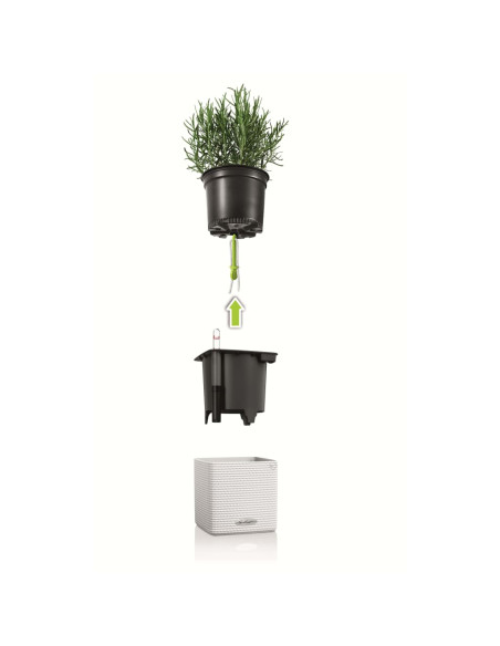 LECHUZA Fioriere 3 pz Green Wall Home Kit Bianco