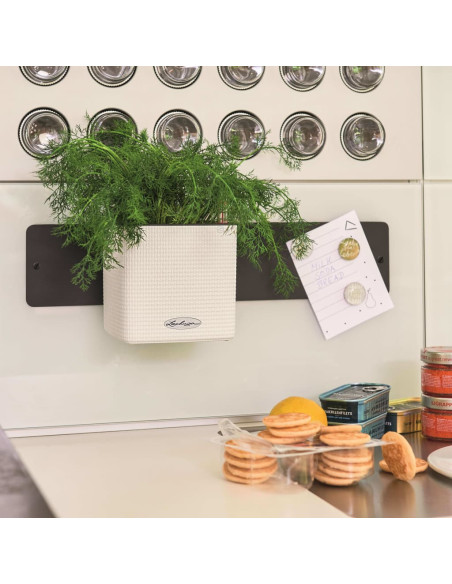 LECHUZA Fioriere 3 pz Green Wall Home Kit Bianco