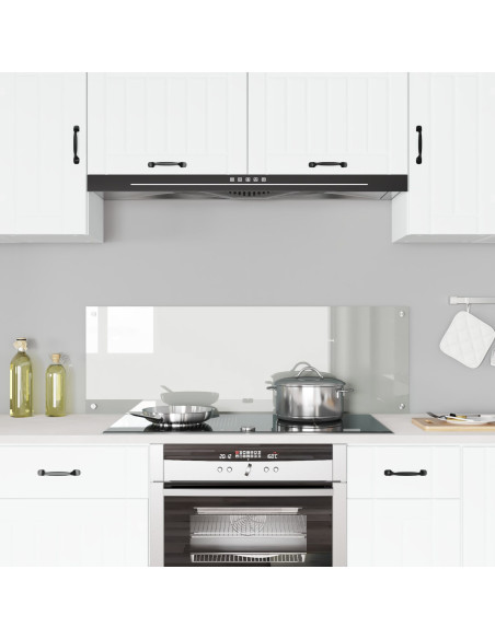 Schienale Cucina  Trasparente 120x40x0,6 cm in Vetro Temperato