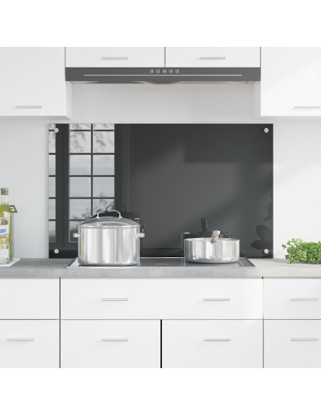 Schienale da cucina  grigio scuro 100x60x0,6 cm in vetro temperato