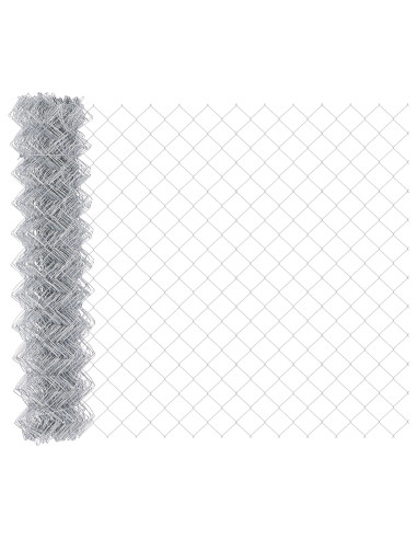 Recinzione con Posto Argento 1 x 10 m Acciaio