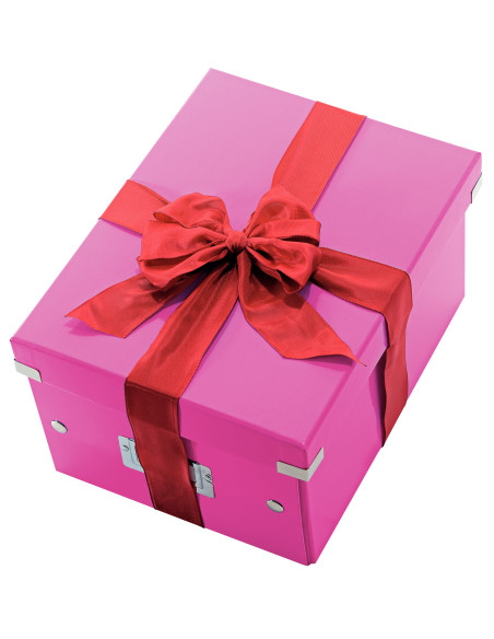 Leitz Click & Store scatola per la conservazione di documenti Polipropilene (PP) Rosa