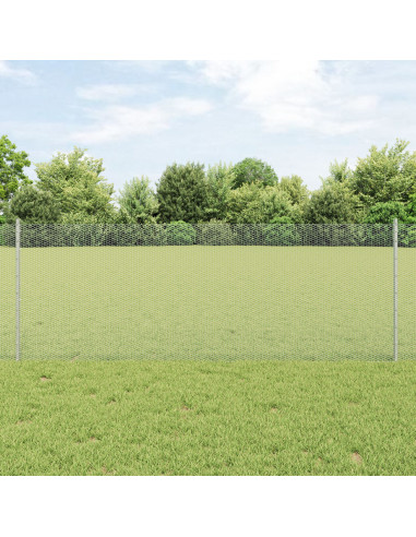 Recinzione con Posto Argento 0,8 x 100 m Acciaio