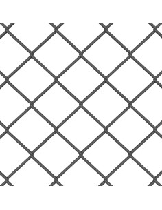 Recinzione con Posto Grigio 0,8 x 25 m Acciaio 2