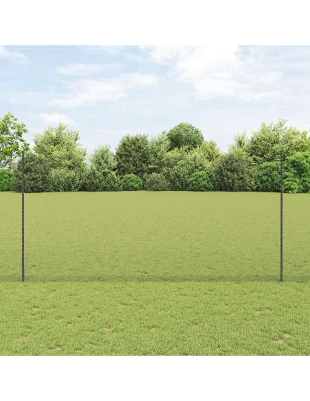 Set di Recinzione da Giardino Set di 2 Grigio Acciaio