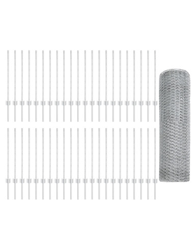 Recinzione con Posto Argento 0,8 x 100 m Acciaio