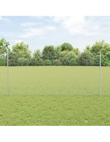 Recinzione con Posto Argento 1,2 x 100 m Acciaio