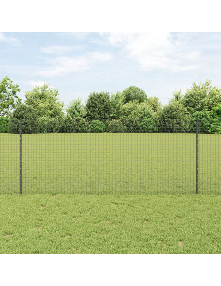Set di Recinzioni da Giardino  Set di 2 Grigio Acciaio Zincato