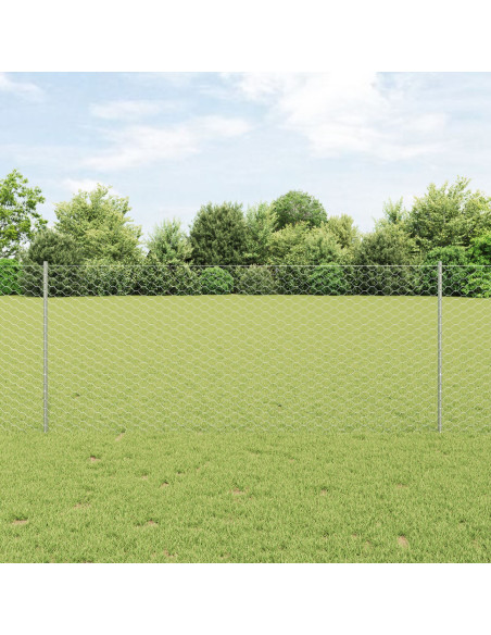 Set di Recinzione Esagonale Set di 2 Acciaio Zincato 25 x 1 m
