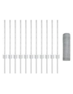 Recinzione con Posto Argento 0,5 x 25 m Acciaio 2