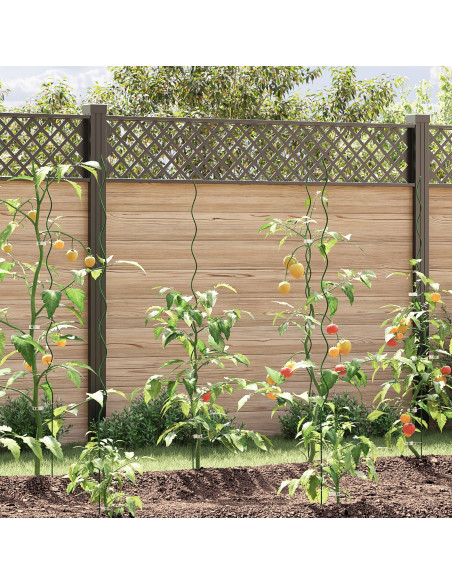 Supporto per Piante a Spirale Verde Metallo 150 cm Robusto