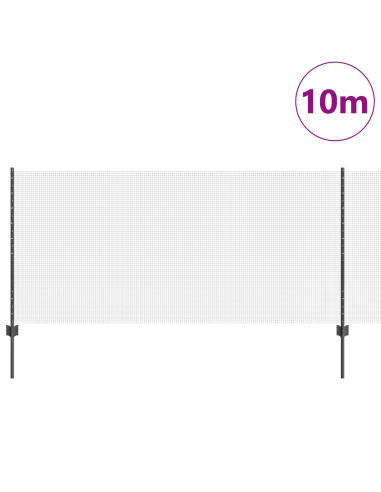 Recinzione con Posto Grigio 1 x 10 m Acciaio
