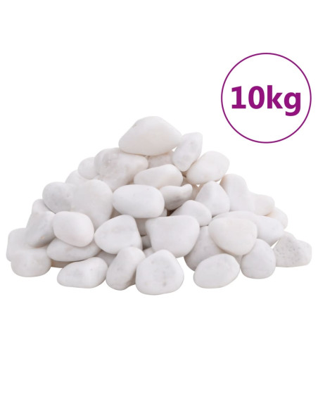 Ciottoli Levigati 10 kg Bianchi 2-5 cm