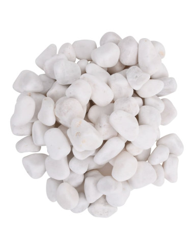 Ciottoli Levigati 10 kg Bianchi 2-5 cm
