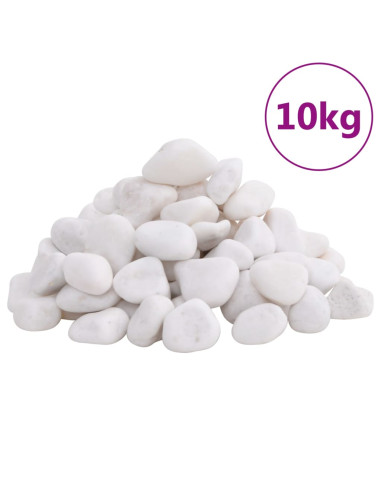 Ciottoli Levigati 10 kg Bianchi 2-5 cm