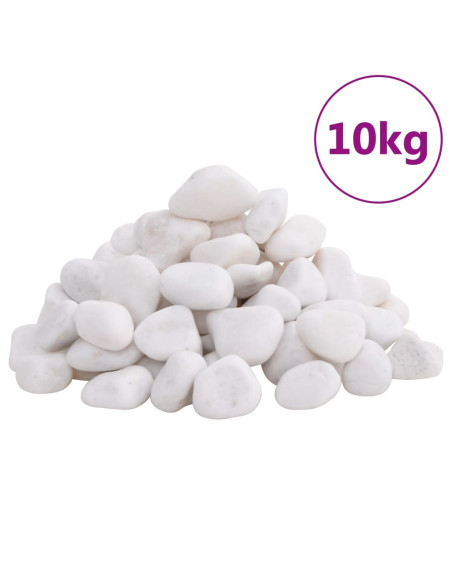 Ciottoli Levigati 10 kg Bianchi 2-5 cm