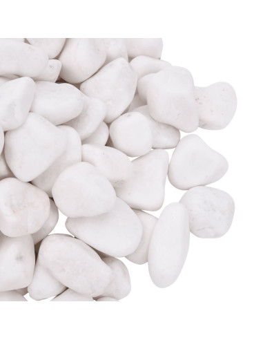 Ciottoli Levigati 10 kg Bianchi 2-5 cm