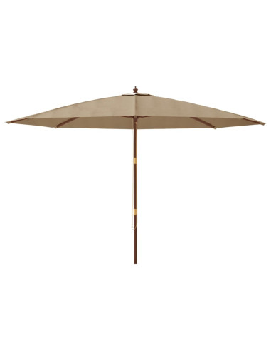 Ombrellone da Giardino con Palo in Legno Tortora 400x273 cm