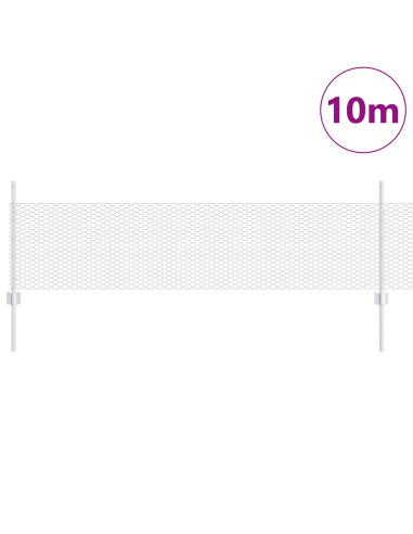 Recinzione con Posto Argento 0,5 x 10 m Acciaio