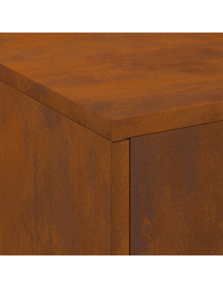 Focolare con Cappa 80x50x96 cm Acciaio Invecchiato